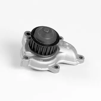 Pompe à eau HEPU