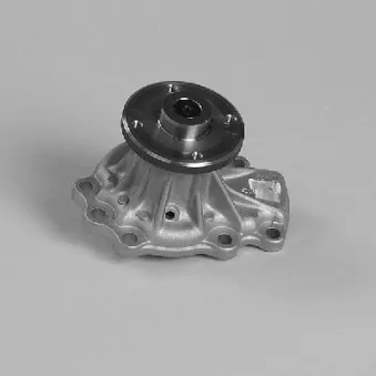 Pompe à eau HEPU P7385