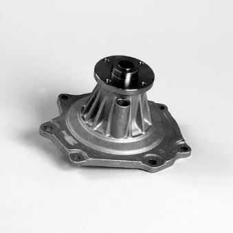 Pompe à eau HEPU P7386