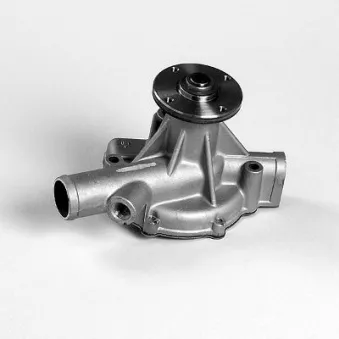Pompe à eau HEPU P7387