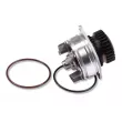 Pompe à eau HEPU P7389 - Visuel 1