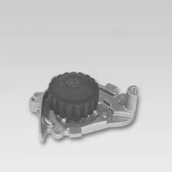 Pompe à eau HEPU P739