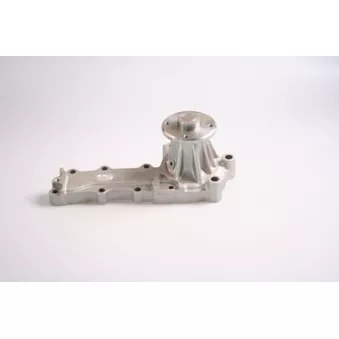 Pompe à eau HEPU P7394