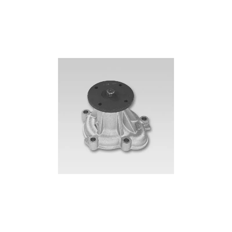 Pompe à eau HEPU P740