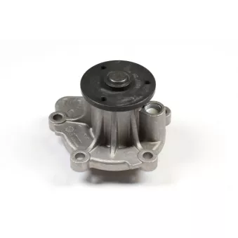 Pompe à eau HEPU P7405