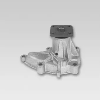 Pompe à eau HEPU P742