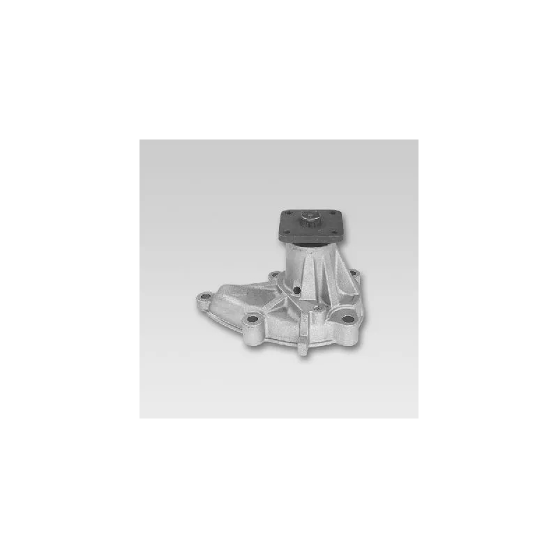 Pompe à eau HEPU P742