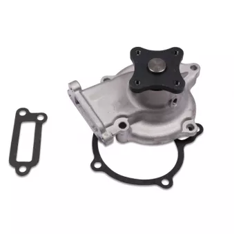 Pompe à eau HEPU P743