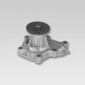 Pompe à eau HEPU P744