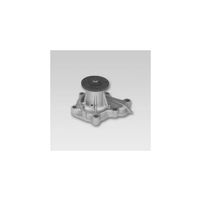 Pompe à eau HEPU P744
