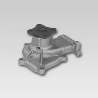 Pompe à eau HEPU P746