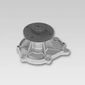 Pompe à eau HEPU P747