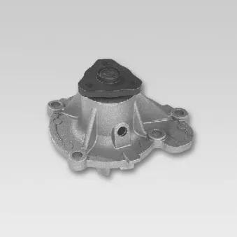 Pompe à eau HEPU P749