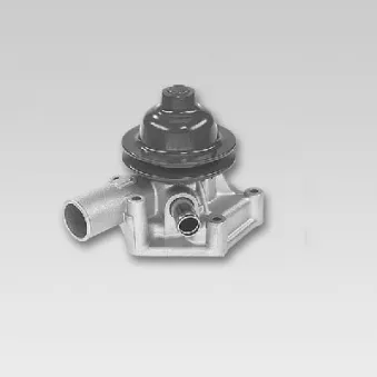 Pompe à eau HEPU P7505