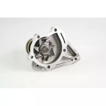Pompe à eau HEPU P7507