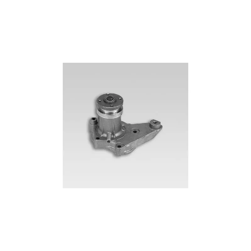 Pompe à eau HEPU P7508