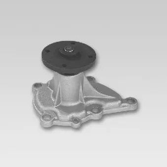 Pompe à eau HEPU P751