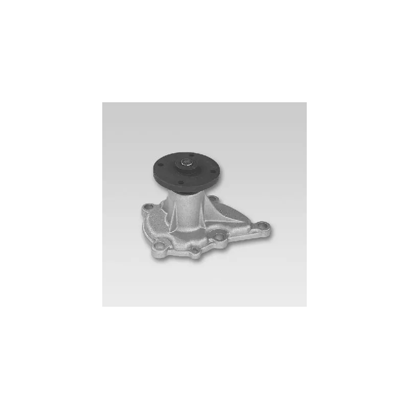 Pompe à eau HEPU P751