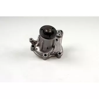 Pompe à eau HEPU P7510
