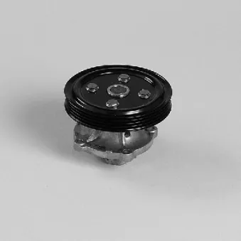 Pompe à eau HEPU P7519