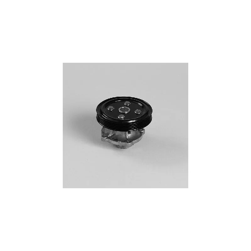 Pompe à eau HEPU P7519
