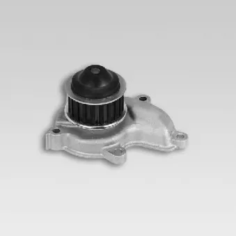 Pompe à eau HEPU P752