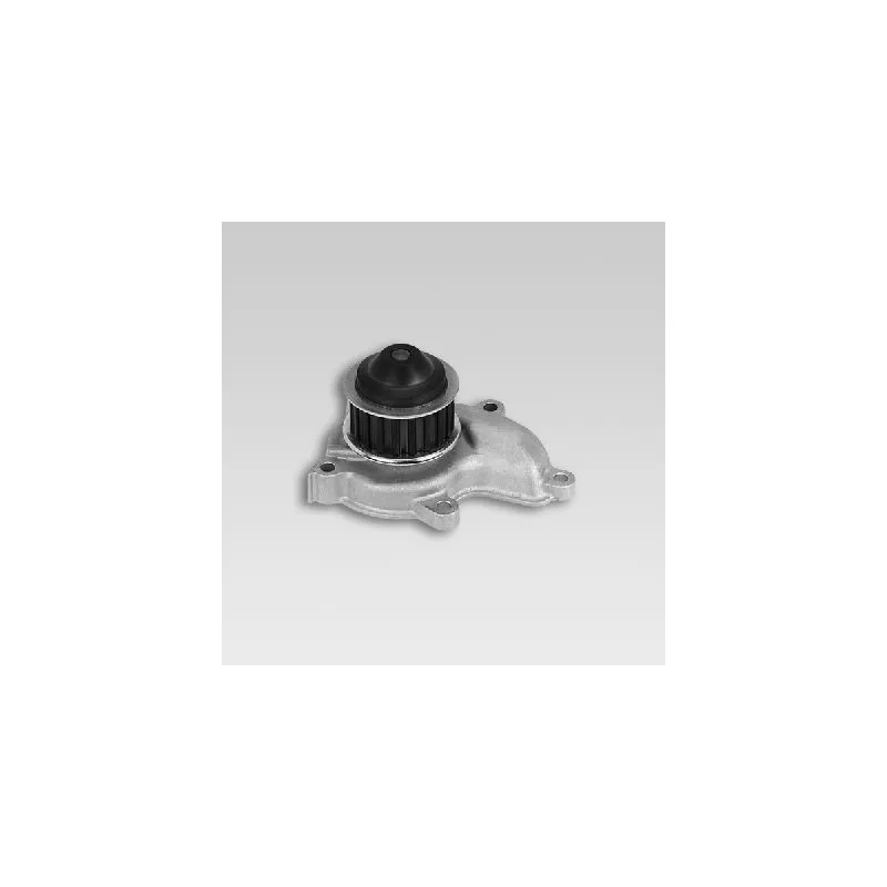 Pompe à eau HEPU P752