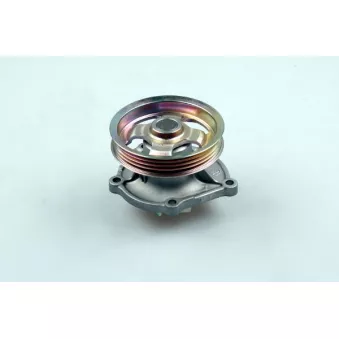Pompe à eau HEPU P7525