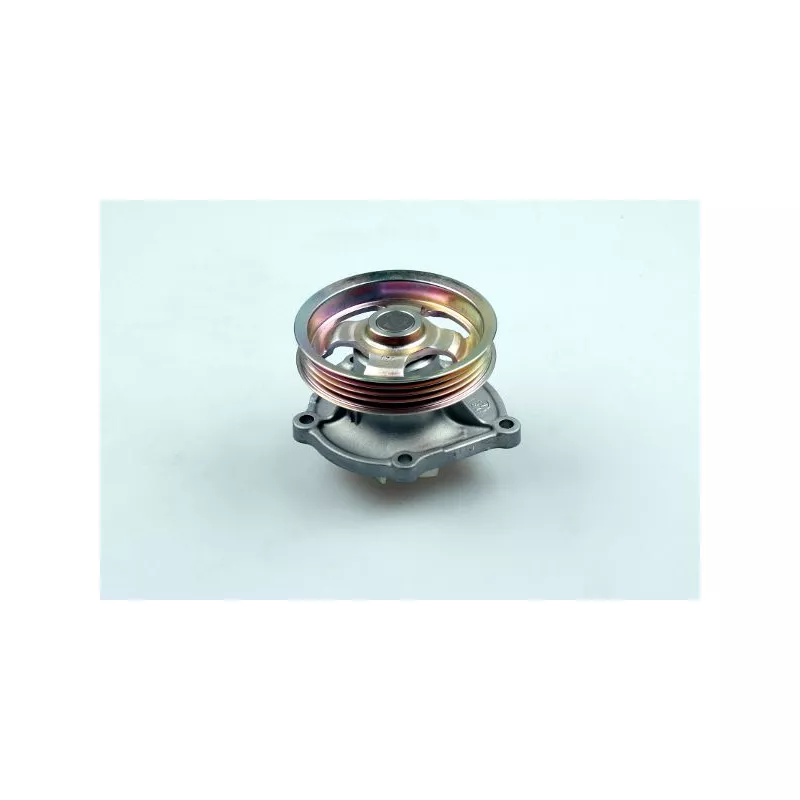 Pompe à eau HEPU P7525
