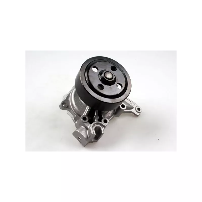 Pompe à eau HEPU P7536