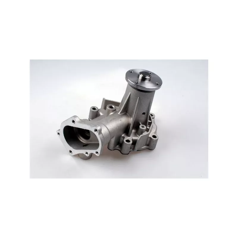 Pompe à eau HEPU P7557