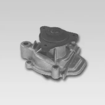 Pompe à eau HEPU P756