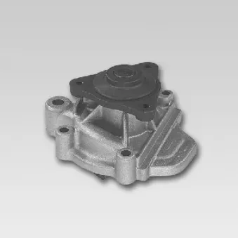 Pompe à eau HEPU P757
