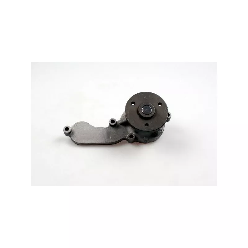 Pompe à eau HEPU P7577