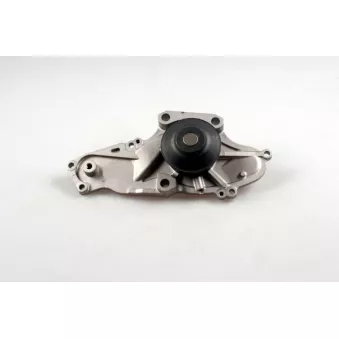 Pompe à eau HEPU P7579