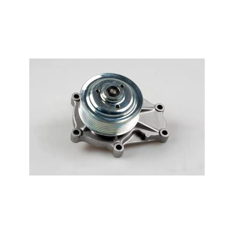 Pompe à eau HEPU P7580