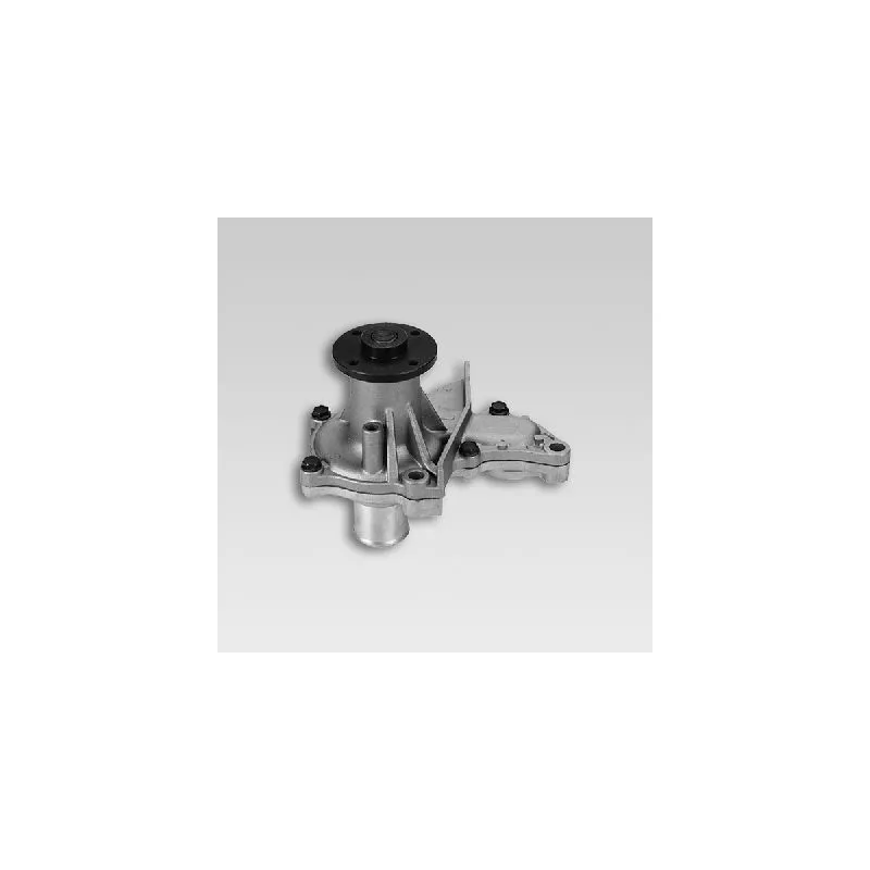 Pompe à eau HEPU P761