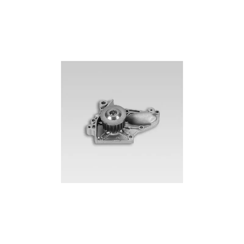 Pompe à eau HEPU P763