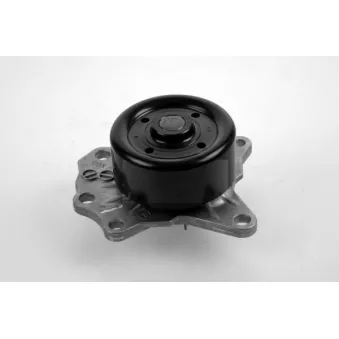 Pompe à eau HEPU P7648