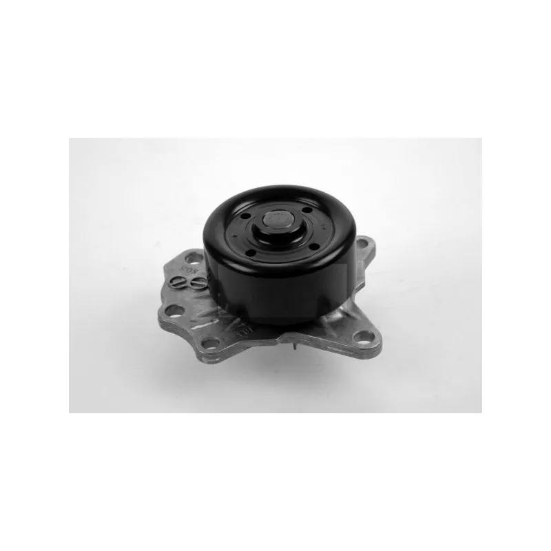 Pompe à eau HEPU P7648