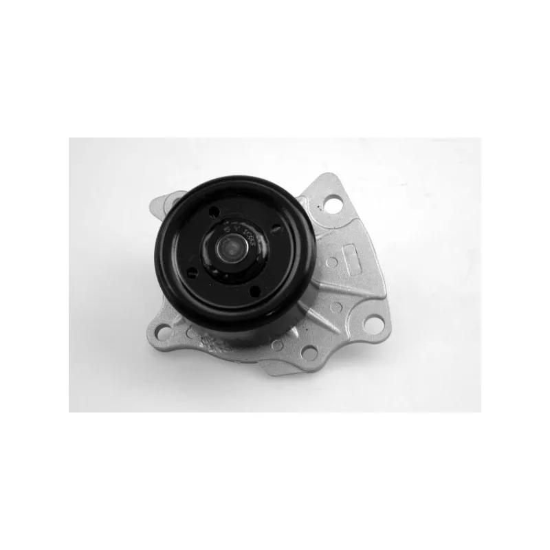 Pompe à eau HEPU P7649