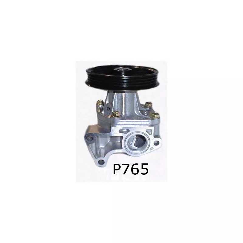 Pompe à eau HEPU P765