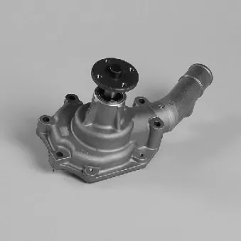 Pompe à eau HEPU P7663