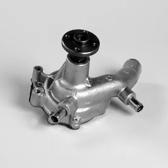 Pompe à eau HEPU P7665
