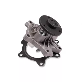 Pompe à eau HEPU P7666