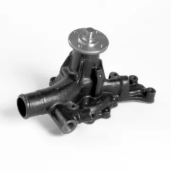 Pompe à eau HEPU P7672