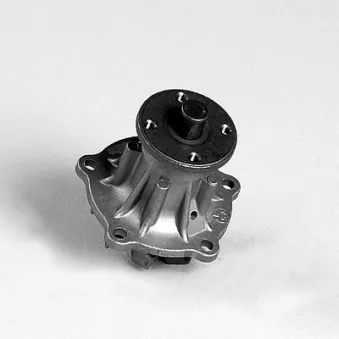 Pompe à eau HEPU P7689
