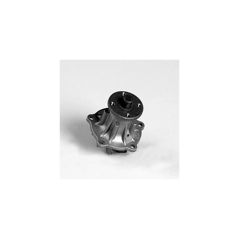 Pompe à eau HEPU P7689
