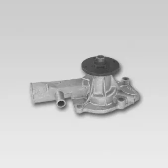 Pompe à eau HEPU P769