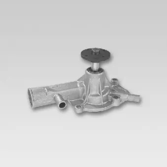 Pompe à eau HEPU P770